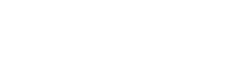 pzu logo white